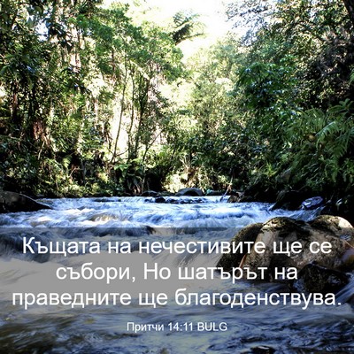Picture 03 - Притчи 14:11 BULG - Къщата на нечестивите ще - Bible Verse Picture