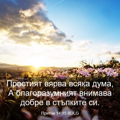 Picture 03 - Притчи 14:15 BULG - Простият вярва всяка дума, - Bible Verse Picture