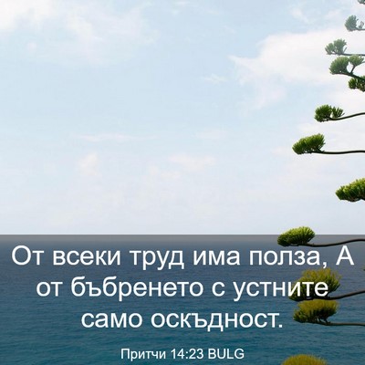 Picture 03 - Притчи 14:23 BULG - От всеки труд има полза, А - Bible Verse Picture