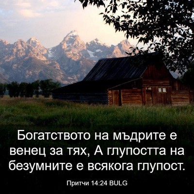Picture 03 - Притчи 14:24 BULG - Богатството на мъдрите е - Bible Verse Picture