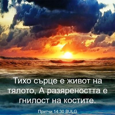 Picture 03 - Притчи 14:30 BULG - Тихо сърце е живот на - Bible Verse Picture