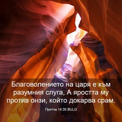 Picture 03 - Притчи 14:35 BULG - Благоволението на царя е - Bible Verse Picture