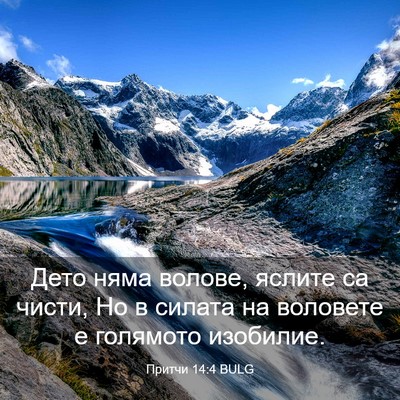 Picture 03 - Притчи 14:4 BULG - Дето няма волове, яслите са - Bible Verse Picture