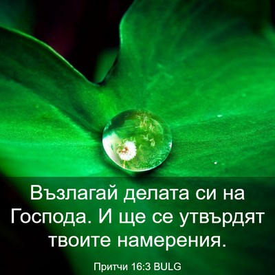 Picture 03 - Притчи 16:3 BULG - Възлагай делата си на - Bible Verse Picture