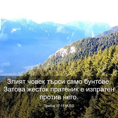 Picture 03 - Притчи 17:11 BULG - Злият човек търси само - Bible Verse Picture