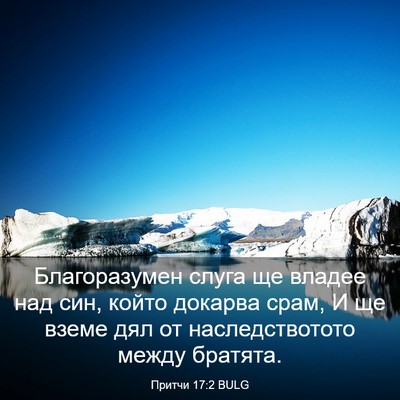 Picture 03 - Притчи 17:2 BULG - Благоразумен слуга ще - Bible Verse Picture
