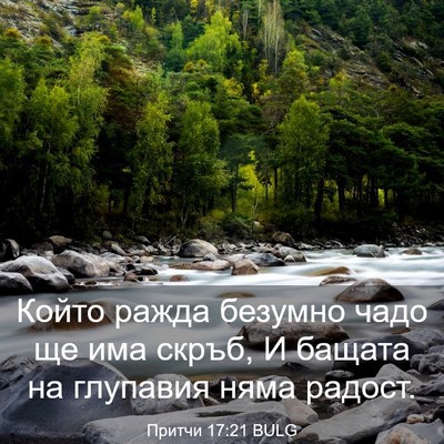 Picture 03 - Притчи 17:21 BULG - Който ражда безумно чадо - Bible Verse Picture