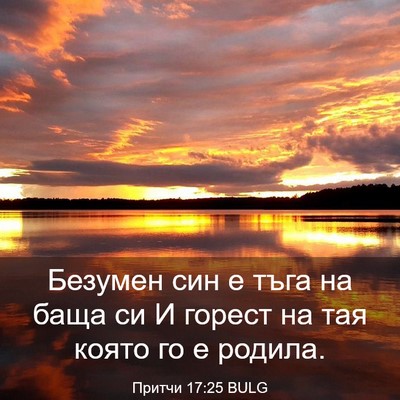 Picture 03 - Притчи 17:25 BULG - Безумен син е тъга на баща - Bible Verse Picture