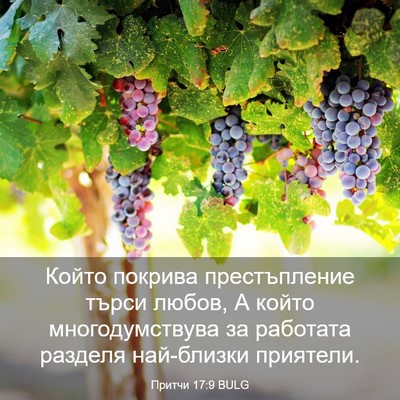 Picture 03 - Притчи 17:9 BULG - Който покрива - Bible Verse Picture
