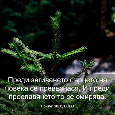 Picture 03 - Притчи 18:12 BULG - Преди загиването сърцето - Bible Verse Picture