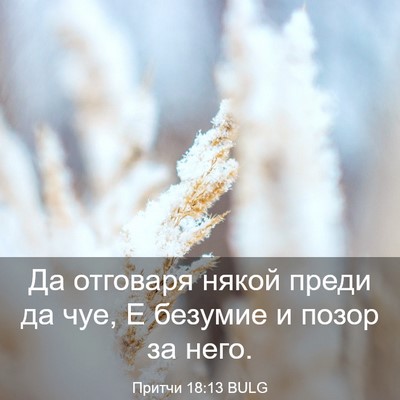 Picture 03 - Притчи 18:13 BULG - Да отговаря някой преди да - Bible Verse Picture