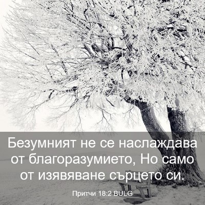 Picture 03 - Притчи 18:2 BULG - Безумният не се наслаждава - Bible Verse Picture