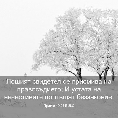 Picture 03 - Притчи 19:28 BULG - Лошият свидетел се - Bible Verse Picture