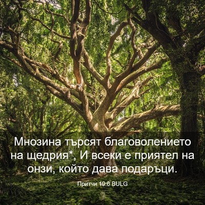 Picture 03 - Притчи 19:6 BULG - Мнозина търсят - Bible Verse Picture