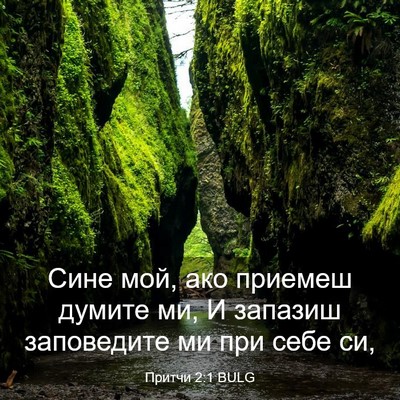 Picture 03 - Притчи 2:1 BULG - Сине мой, ако приемеш - Bible Verse Picture