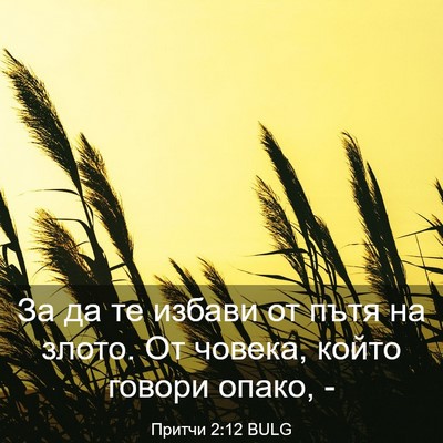 Picture 03 - Притчи 2:12 BULG - За да те избави от пътя на - Bible Verse Picture