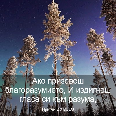 Picture 03 - Притчи 2:3 BULG - Ако призовеш - Bible Verse Picture