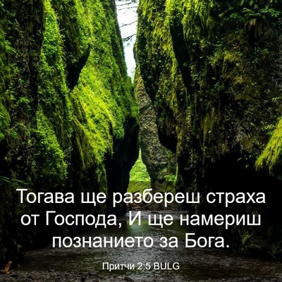 Picture 03 - Притчи 2:5 BULG - Тогава ще разбереш страха - Bible Verse Picture