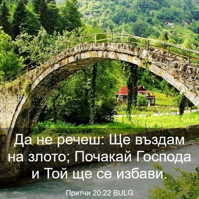Picture 03 - Притчи 20:22 BULG - Да не речеш: Ще въздам на - Bible Verse Picture