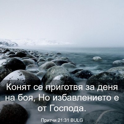 Picture 03 - Притчи 21:31 BULG - Конят се приготвя за деня - Bible Verse Picture