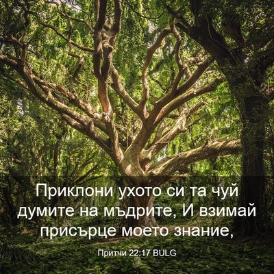 Picture 03 - Притчи 22:17 BULG - Приклони ухото си та чуй - Bible Verse Picture