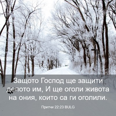 Picture 03 - Притчи 22:23 BULG - Защото Господ ще защити - Bible Verse Picture