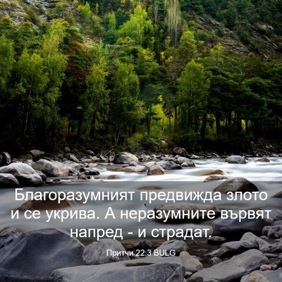 Picture 03 - Притчи 22:3 BULG - Благоразумният предвижда - Bible Verse Picture