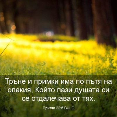 Picture 03 - Притчи 22:5 BULG - Тръне и примки има по пътя - Bible Verse Picture