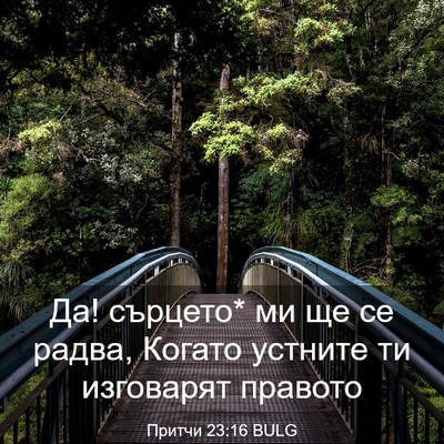 Picture 03 - Притчи 23:16 BULG - Да! сърцето* ми ще се радва, - Bible Verse Picture