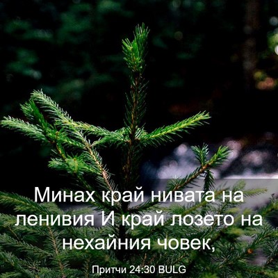 Picture 03 - Притчи 24:30 BULG - Минах край нивата на - Bible Verse Picture