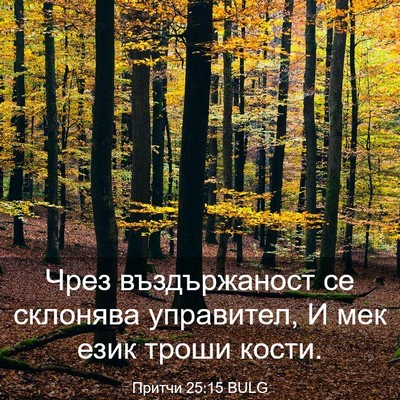 Picture 03 - Притчи 25:15 BULG - Чрез въздържаност се - Bible Verse Picture