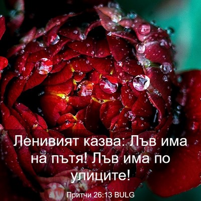 Picture 03 - Притчи 26:13 BULG - Ленивият казва: Лъв има на - Bible Verse Picture