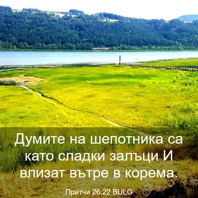 Picture 03 - Притчи 26:22 BULG - Думите на шепотника са - Bible Verse Picture