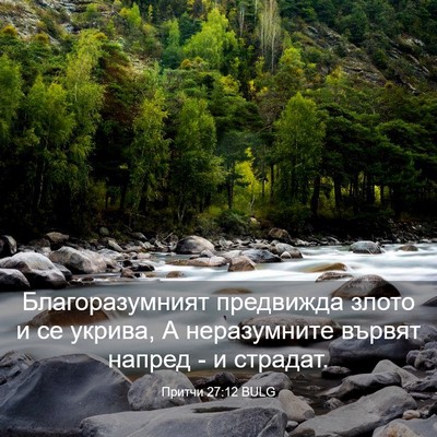 Picture 03 - Притчи 27:12 BULG - Благоразумният предвижда - Bible Verse Picture
