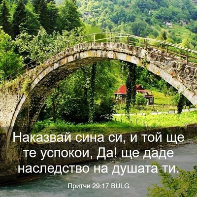 Picture 03 - Притчи 29:17 BULG - Наказвай сина си, и той ще - Bible Verse Picture