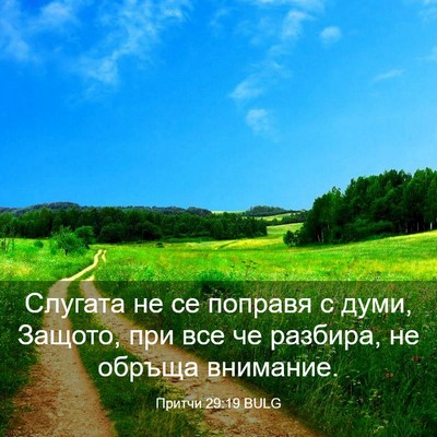 Picture 03 - Притчи 29:19 BULG - Слугата не се поправя с - Bible Verse Picture