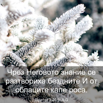 Picture 03 - Притчи 3:20 BULG - Чрез Неговото знание се - Bible Verse Picture