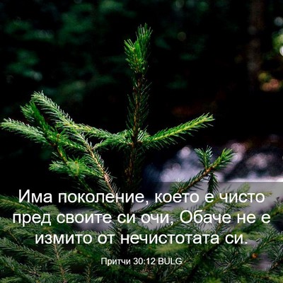 Picture 03 - Притчи 30:12 BULG - Има поколение, което е - Bible Verse Picture