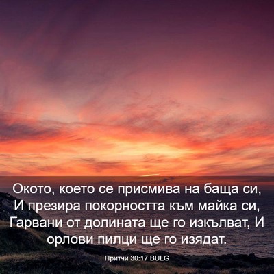 Picture 03 - Притчи 30:17 BULG - Окото, което се присмива на - Bible Verse Picture