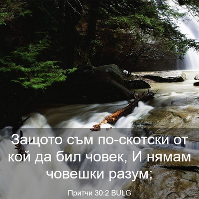 Picture 03 - Притчи 30:2 BULG - Защото съм по-скотски от - Bible Verse Picture