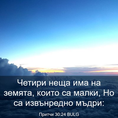 Picture 03 - Притчи 30:24 BULG - Четири неща има на земята, - Bible Verse Picture