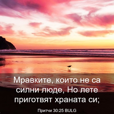 Picture 03 - Притчи 30:25 BULG - Мравките, които не са силни - Bible Verse Picture