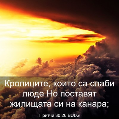 Picture 03 - Притчи 30:26 BULG - Кролиците, които са слаби - Bible Verse Picture