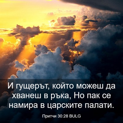 Picture 03 - Притчи 30:28 BULG - И гущерът, който можеш да - Bible Verse Picture