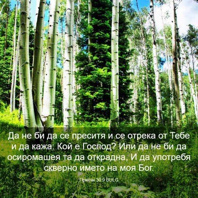 Picture 03 - Притчи 30:9 BULG - Да не би да се преситя и се - Bible Verse Picture
