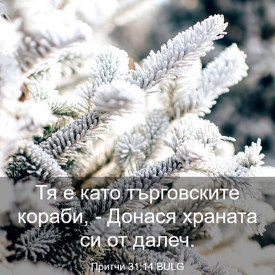Picture 03 - Притчи 31:14 BULG - Тя е като търговските - Bible Verse Picture
