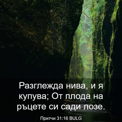 Picture 03 - Притчи 31:16 BULG - Разглежда нива, и я купува; - Bible Verse Picture