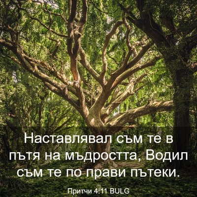 Picture 03 - Притчи 4:11 BULG - Наставлявал съм те в пътя - Bible Verse Picture