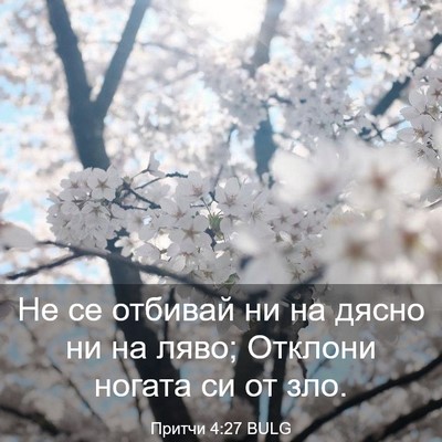 Picture 03 - Притчи 4:27 BULG - Не се отбивай ни на дясно - Bible Verse Picture