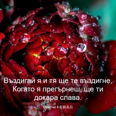 Picture 03 - Притчи 4:8 BULG - Въздигай я и тя ще те - Bible Verse Picture